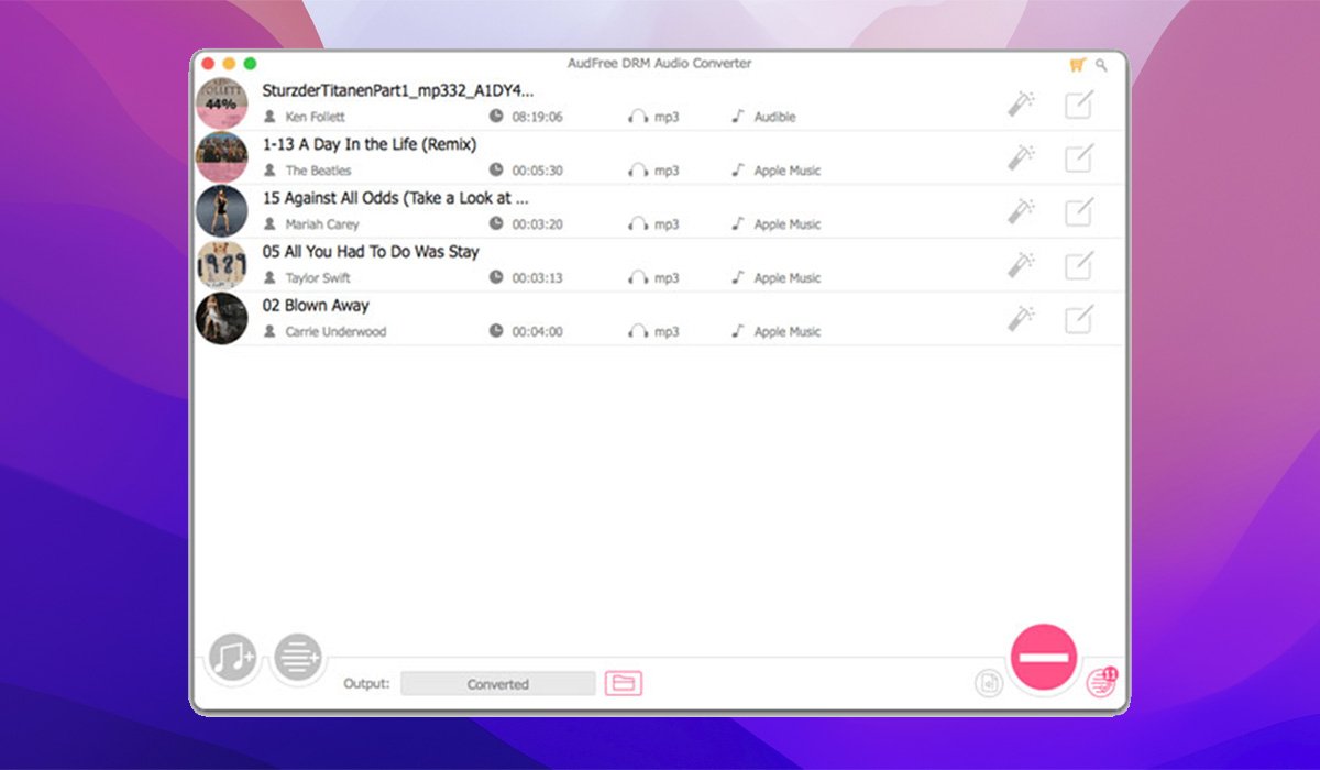 AudFree Audio Converter screenshot 4